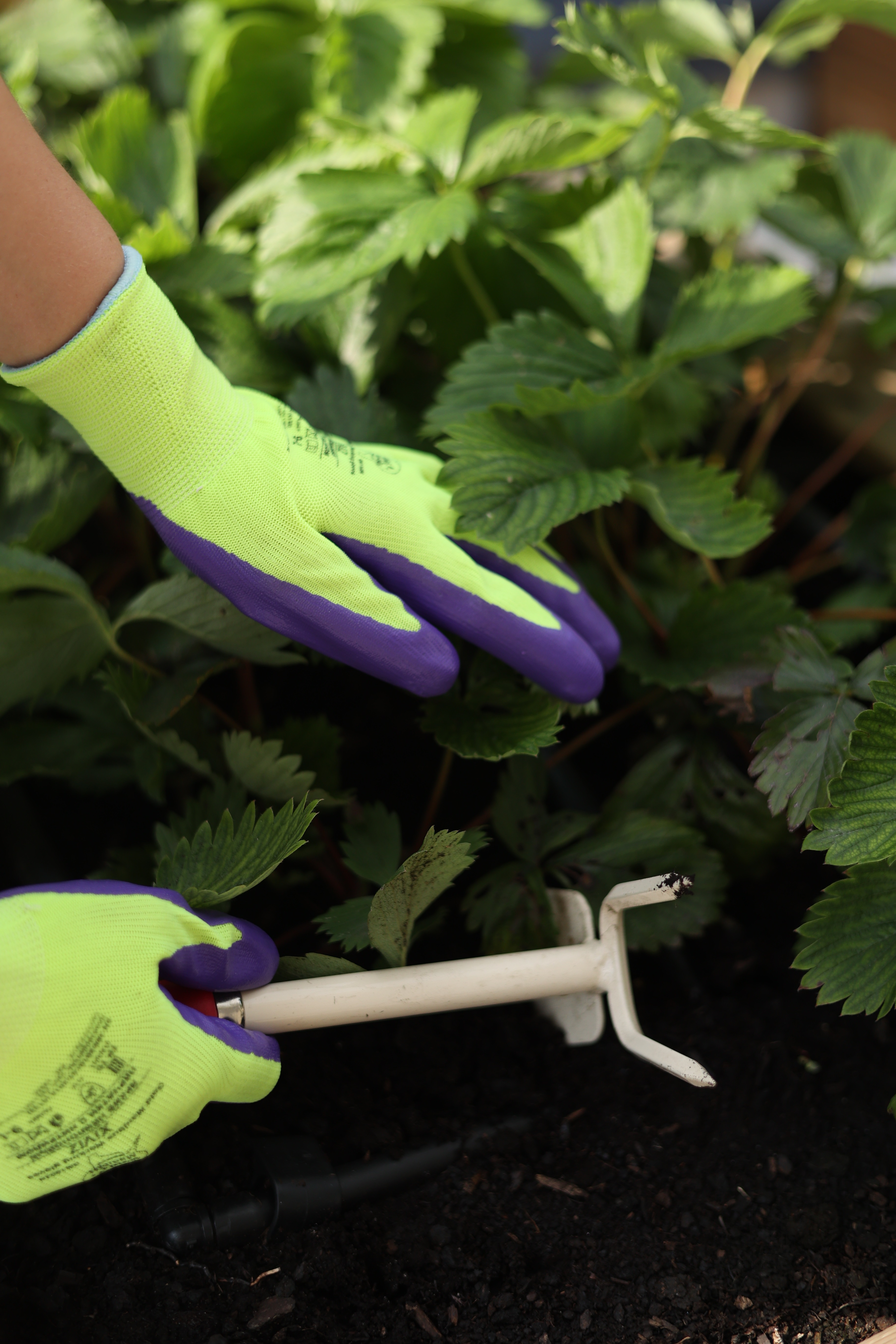 Нейлоновые перчатки XiViz GM1002N-10 с нитриловым покрытием р.10 (XL)